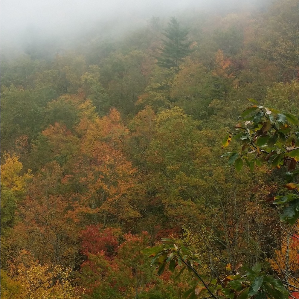 Meet your Posher, Rochelle